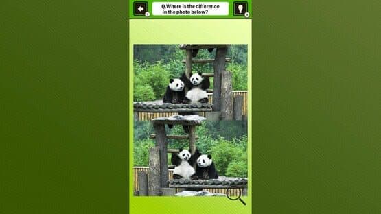 Super Kawaii! Finding Mistakes in Panda Photos screenshot 4