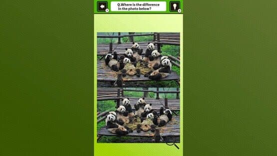 Super Kawaii! Finding Mistakes in Panda Photos screenshot 1