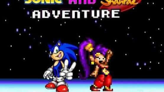 Sonic Adventure SX screenshot 5