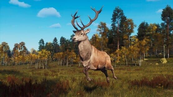 Way of the Hunter: Lintukoto Reserve screenshot 6