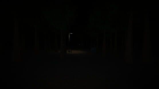 Lurking Darkness screenshot 6