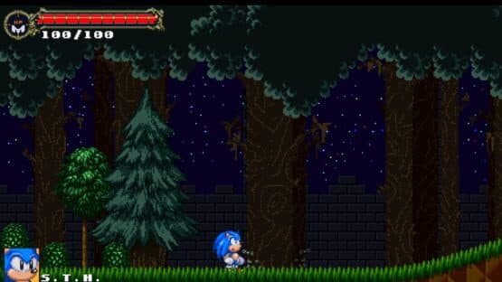 Sonic: The Murdering Insanity screenshot 2