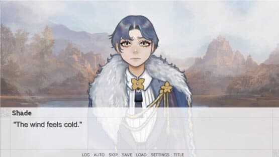 Blank screenshot 5