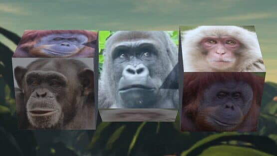 Gorilla Slot Infinity screenshot 1