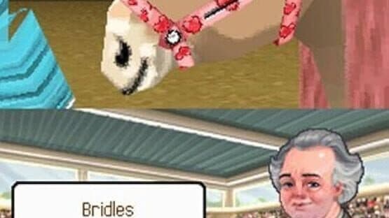 Petz Pony Beauty Pageant screenshot 1