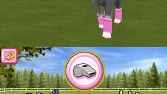 Petz Pony Beauty Pageant screenshot 3