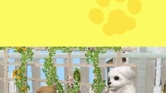 Petz Puppyz and Kittenz screenshot 3