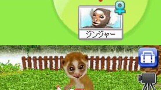 Petz My Monkey Family screenshot 3
