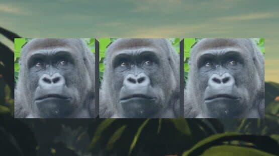 Gorilla Slot Infinity screenshot 3