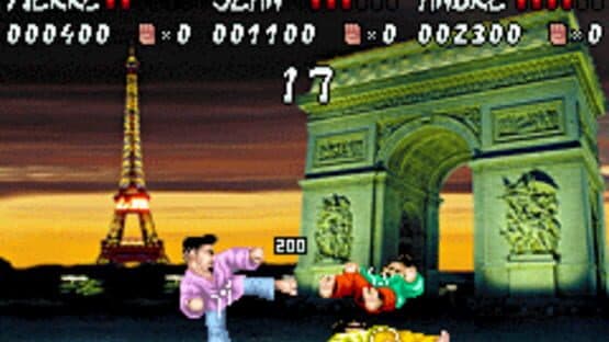 International Karate Advanced screenshot 2