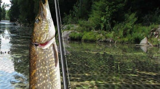 iFishing screenshot 1