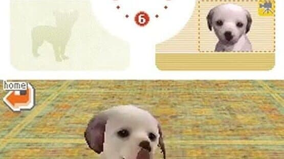 Nintendogs: Dalmatian & Friends screenshot 2