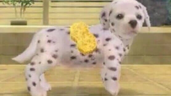 Nintendogs: Dalmatian & Friends screenshot 5