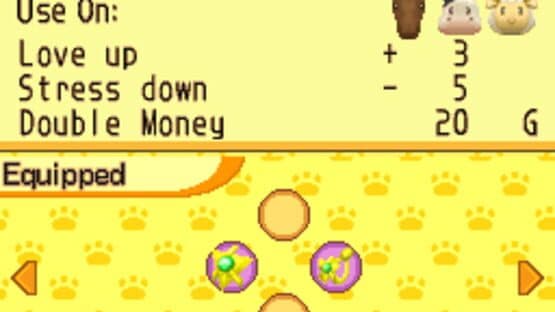 Harvest Moon DS: Island of Happiness screenshot 5