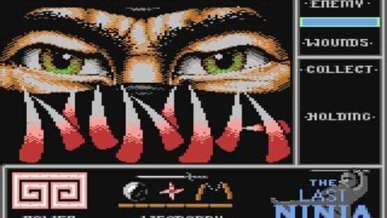 The Last Ninja screenshot 6