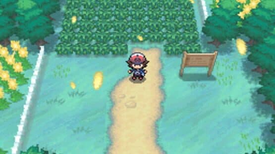 Pokémon Black Version screenshot 6