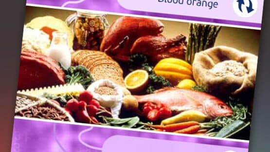 MindJam! The Knowledge Guru screenshot 2