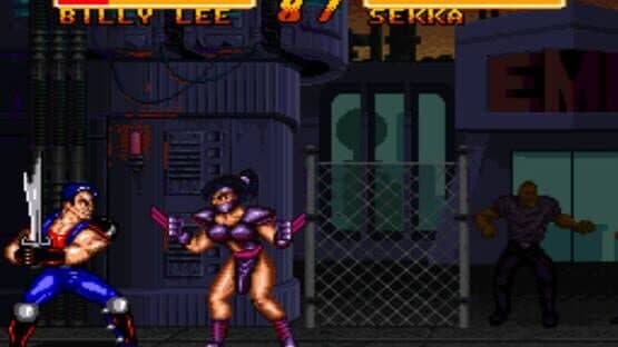 Double Dragon V: The Shadow Falls screenshot 2
