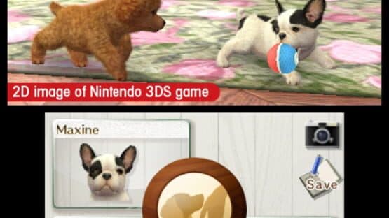 Nintendogs + Cats: French Bulldog & New Friends screenshot 5