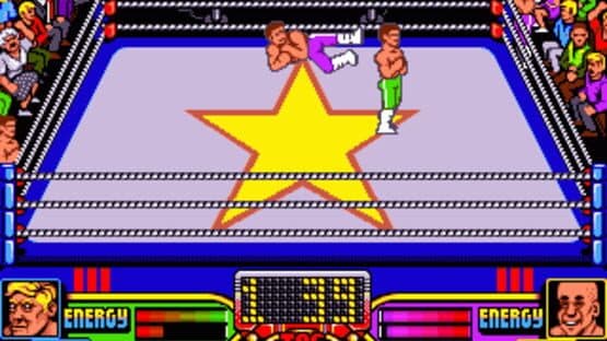 American Tag-Team Wrestling screenshot 1