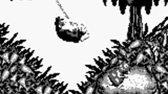 Donkey Kong Land screenshot 6