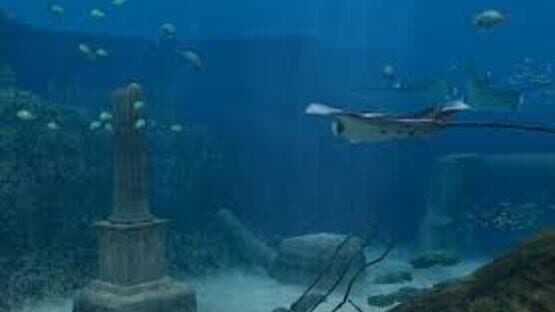 Endless Ocean screenshot 4