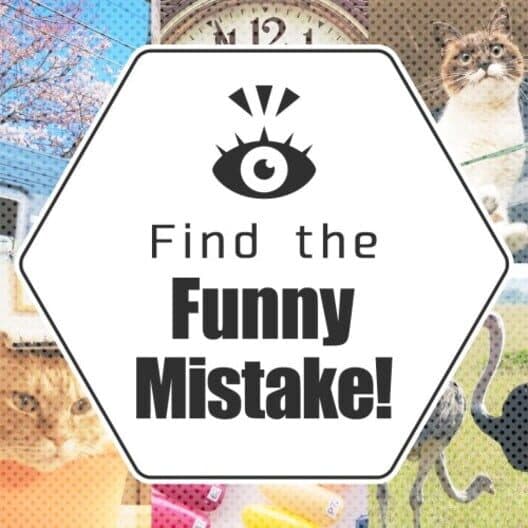 Find the Funny Mistake! cover art