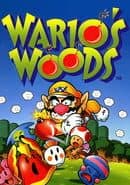 Wario's Woods