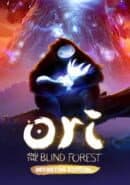 Ori and the Blind Forest: Definitive Edition