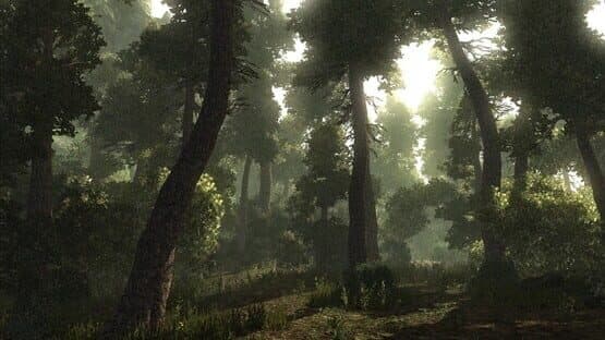Risen screenshot 2