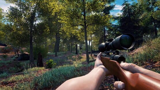 Vestige of the Past screenshot 3