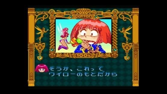 Cotton 100% screenshot 4