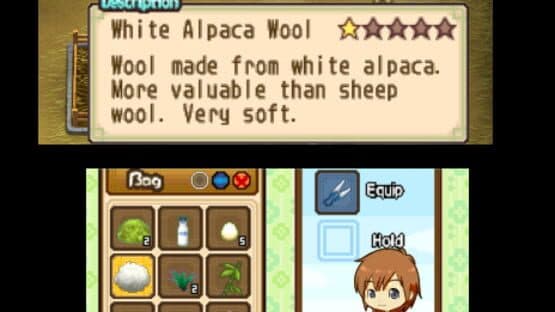 Harvest Moon: The Tale of Two Towns screenshot 4