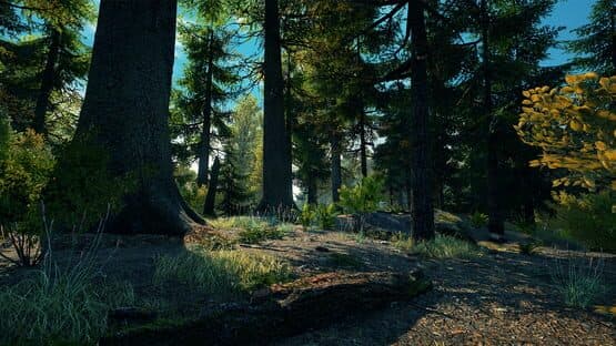 Vestige of the Past screenshot 5