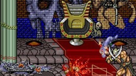 Ninja Gaiden screenshot 5