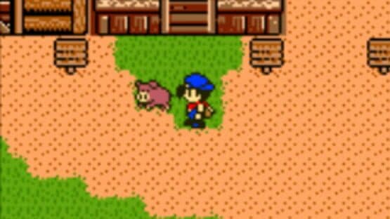 Harvest Moon 3 GBC screenshot 5