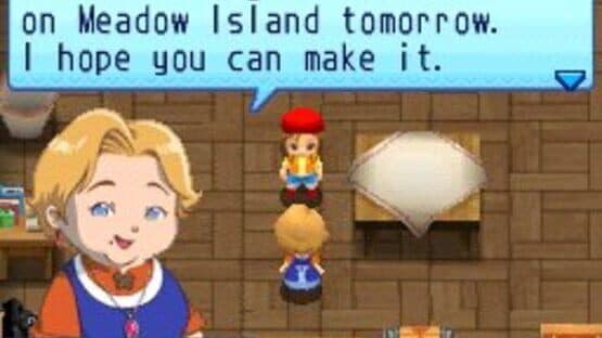 Harvest Moon DS: Sunshine Islands screenshot 2