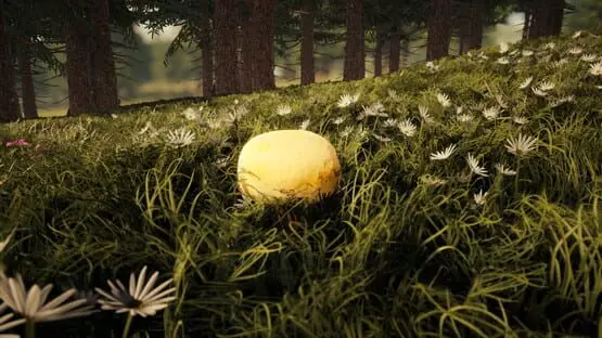 Forager's Finds screenshot 1