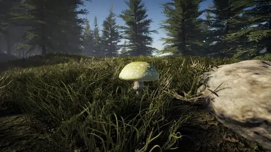 Forager's Finds screenshot 2