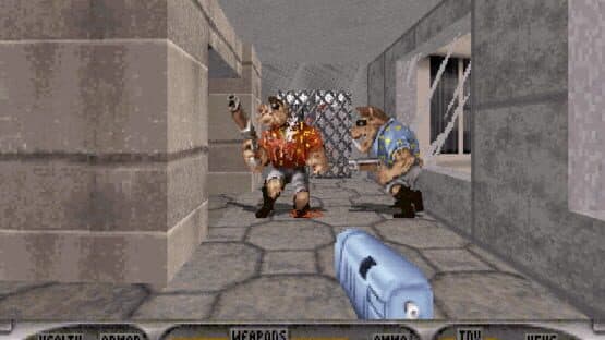 Duke Caribbean: Life's a Beach screenshot 2