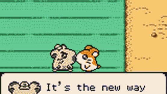 Hamtaro: Ham-Hams Unite! screenshot 1