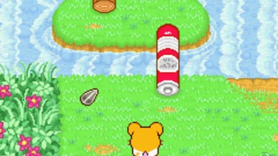 Hamtaro: Ham-Ham Heartbreak screenshot 2