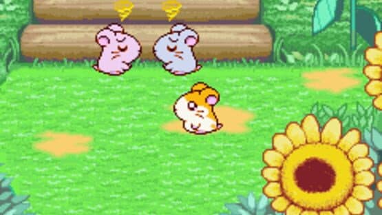 Hamtaro: Ham-Ham Heartbreak screenshot 6