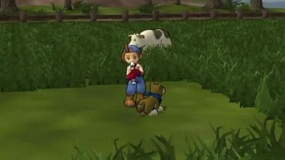 Harvest Moon: Save the Homeland screenshot 5