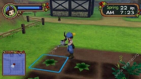 Harvest Moon: Save the Homeland screenshot 3