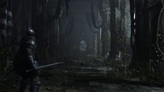 Demon's Souls screenshot 1