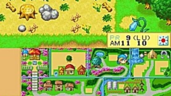 Harvest Moon DS screenshot 2