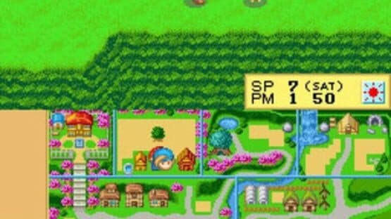 Harvest Moon DS screenshot 3