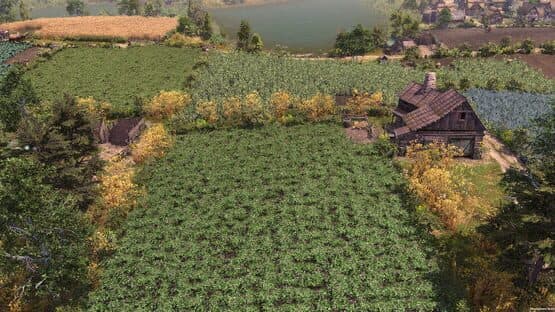 Farthest Frontier screenshot 4