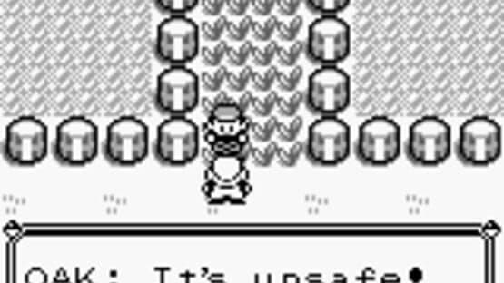 Pokémon Red Version screenshot 2